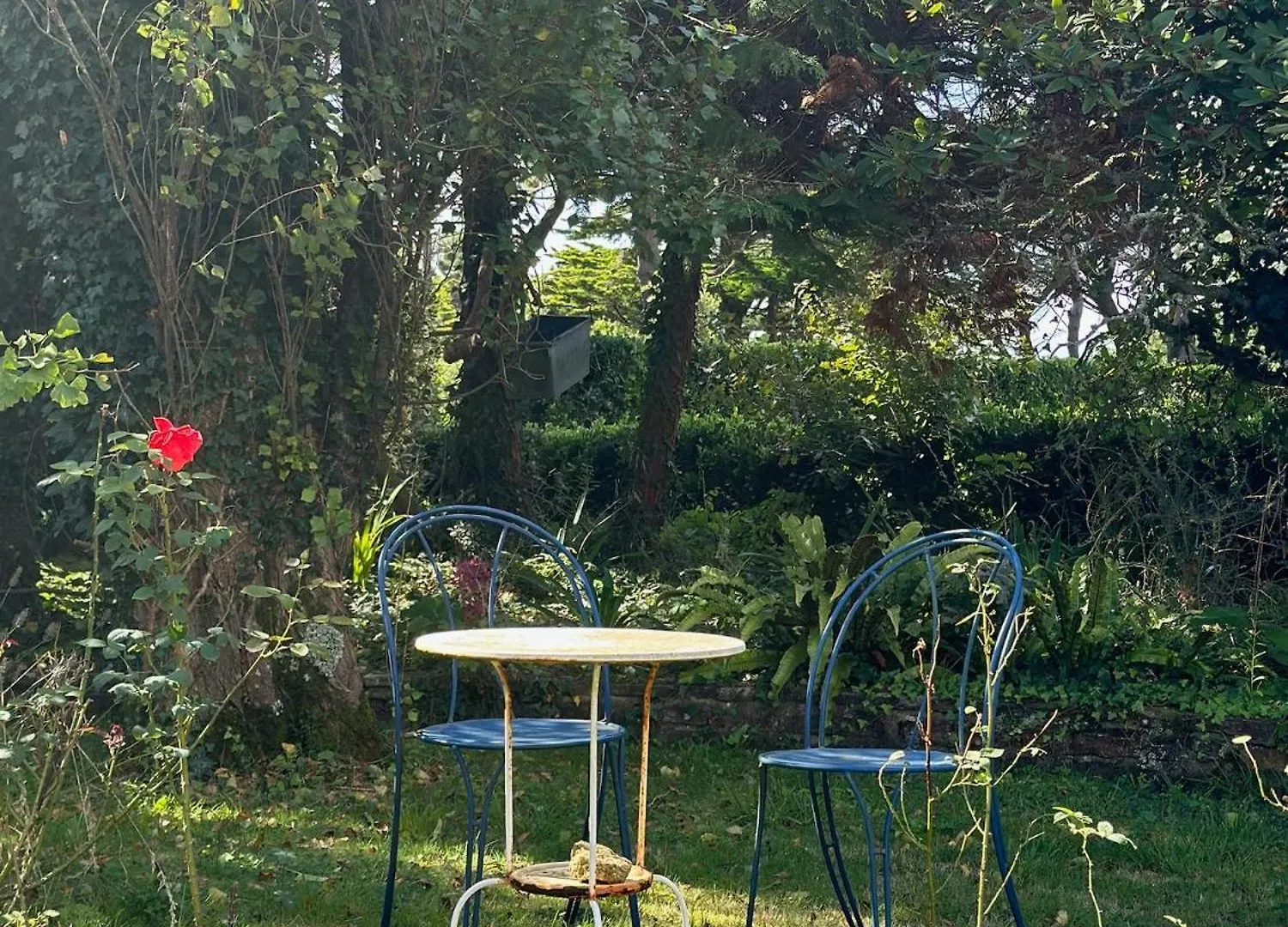 Villa Maisonportmanech - Exquisites Kleinod In Der Bretagne Nevez